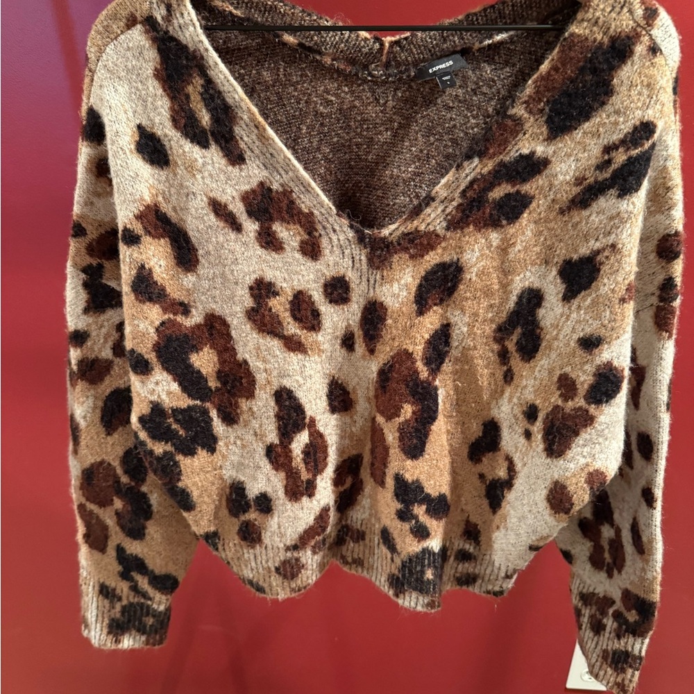 Express Brown Leopard V-Neck Sweater